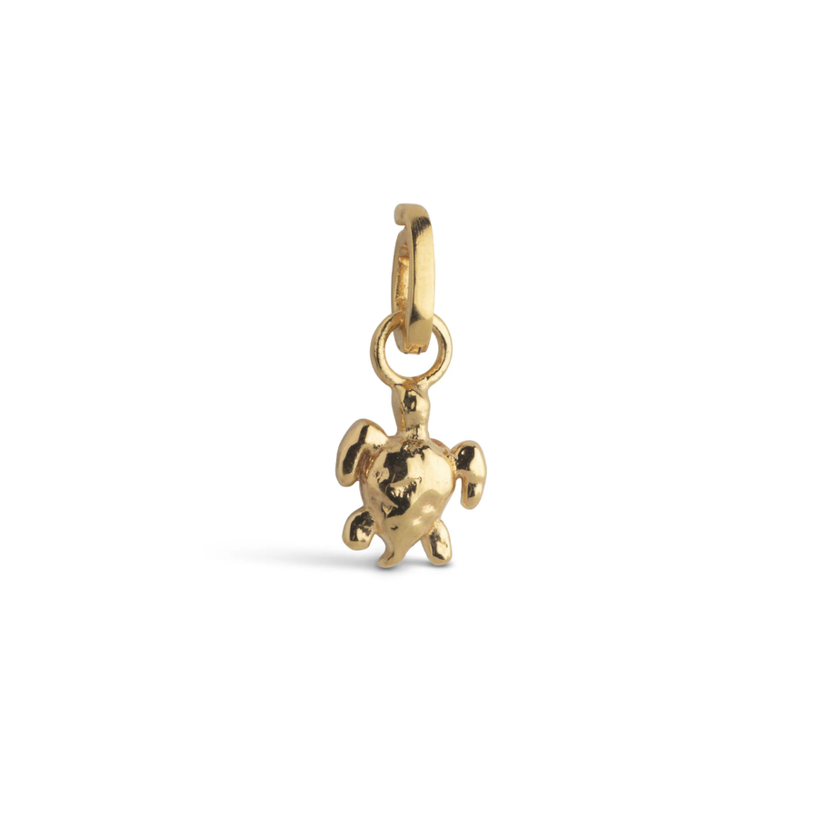 Enamel - Calm Turtle