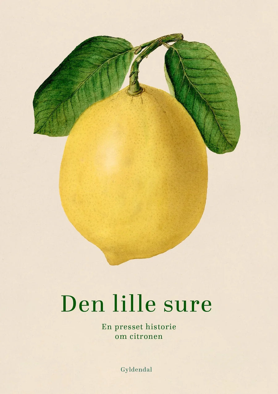 Bog - Den lille Sure