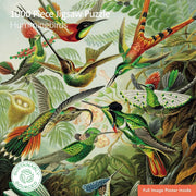 Puslespil - Hummingbirds