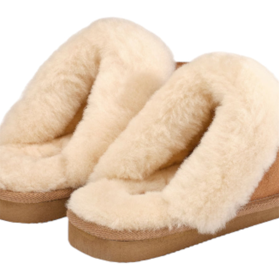 Jessica Sutsko - Chestnut