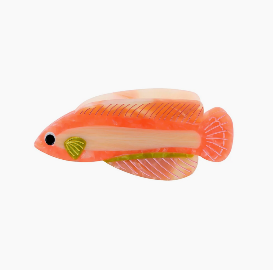 Rødfisk Hårklemme - Koral