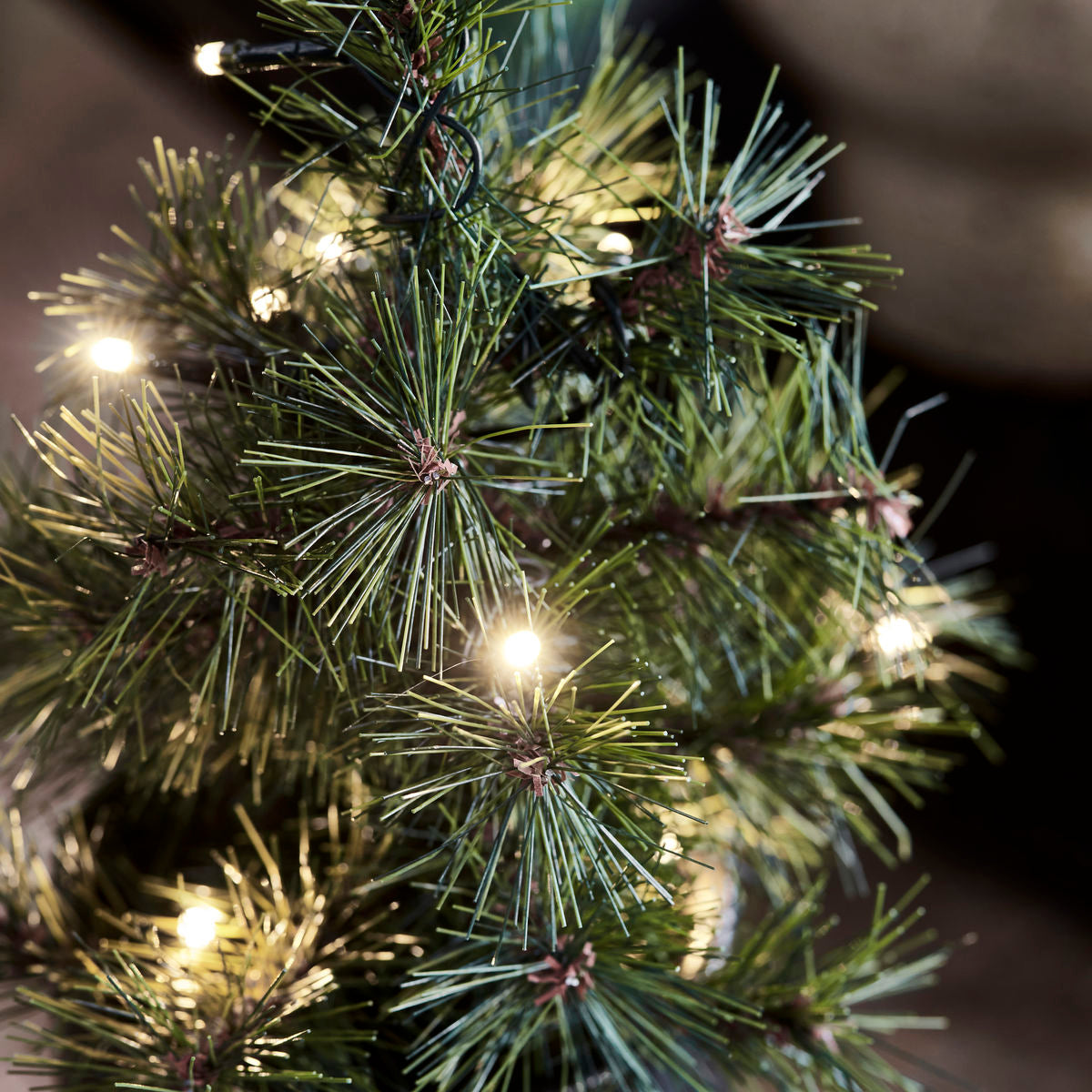 Juletræ med lys - Pinus  - Lille