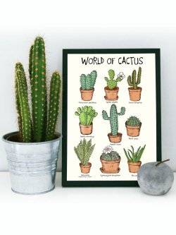 Plakat - World of Cactus