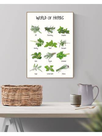 Plakat - World of Herbs